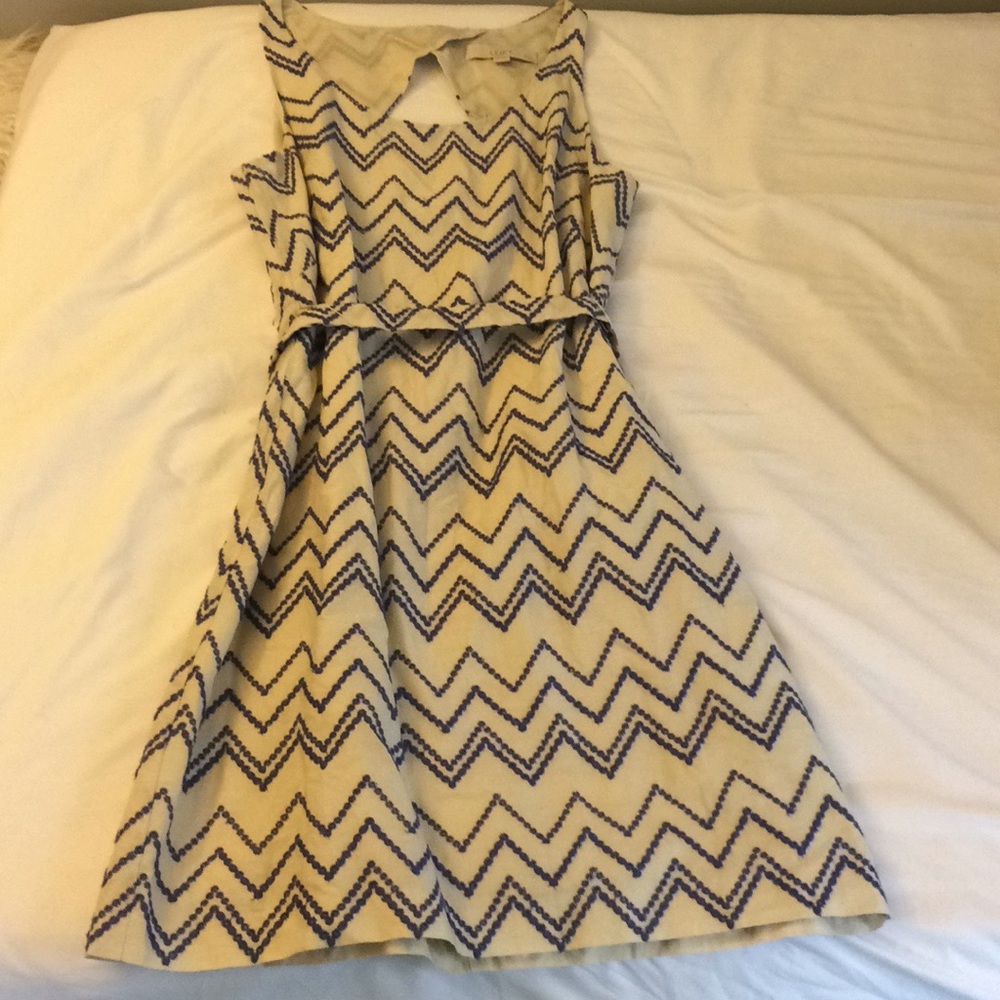 Loft dress